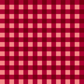 Gingham Picnic Check {Red}