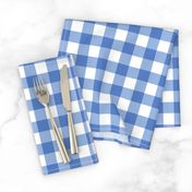 Gingham Picnic Check {Blue}