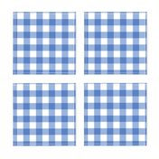 Gingham Picnic Check {Blue}