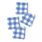 Gingham Picnic Check {Blue}