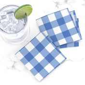 Gingham Picnic Check {Blue}