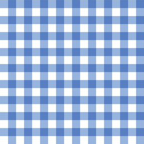 Gingham Picnic Check {Blue}