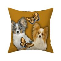 Two Papillons With Butterflies