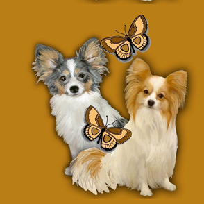 Two Papillons With Butterflies