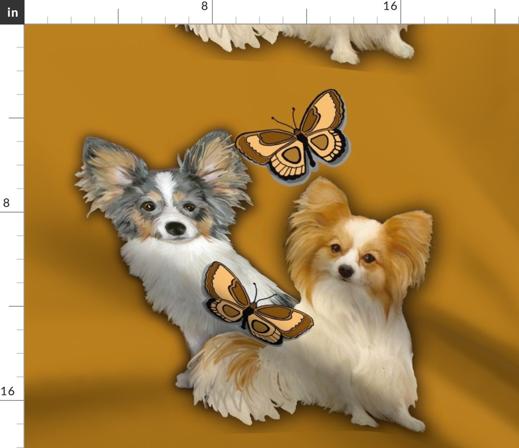 Two Papillons With Butterflies