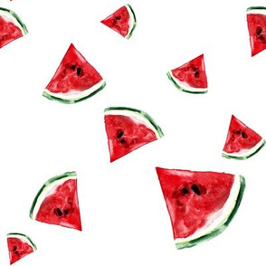 watercolormelon