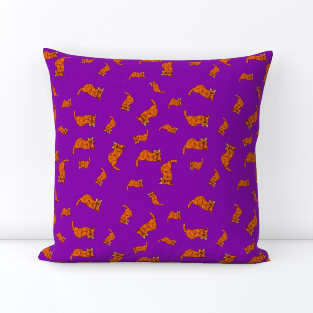 Danni the Calico Cat on Purple