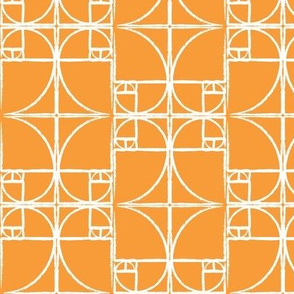 Citrus Orange Fibonacci Spiral