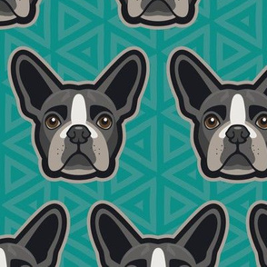 Boston Terrier Turquoise Large