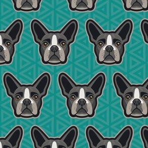 Boston Terrier Turquoise Medium