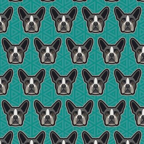 Boston Terrier Turquoise Small