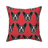 Boston Terrier Red Large