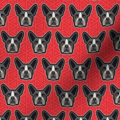 Boston Terrier Red Small