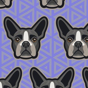 Boston Terrier Lavender Large