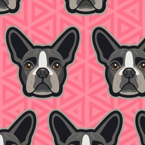 Boston Terrier Pink Large