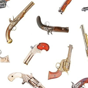 Antique Pistols // Large