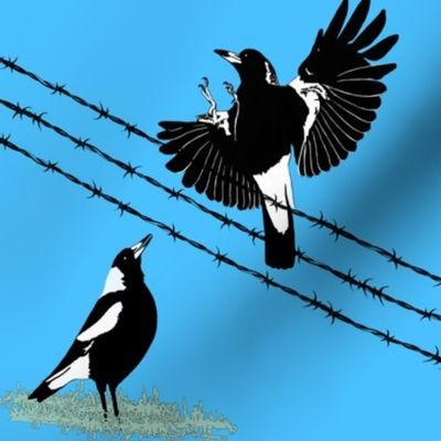 Magpies: learn to fly + food call (limited palette) by Su_G_©SuSchaefer