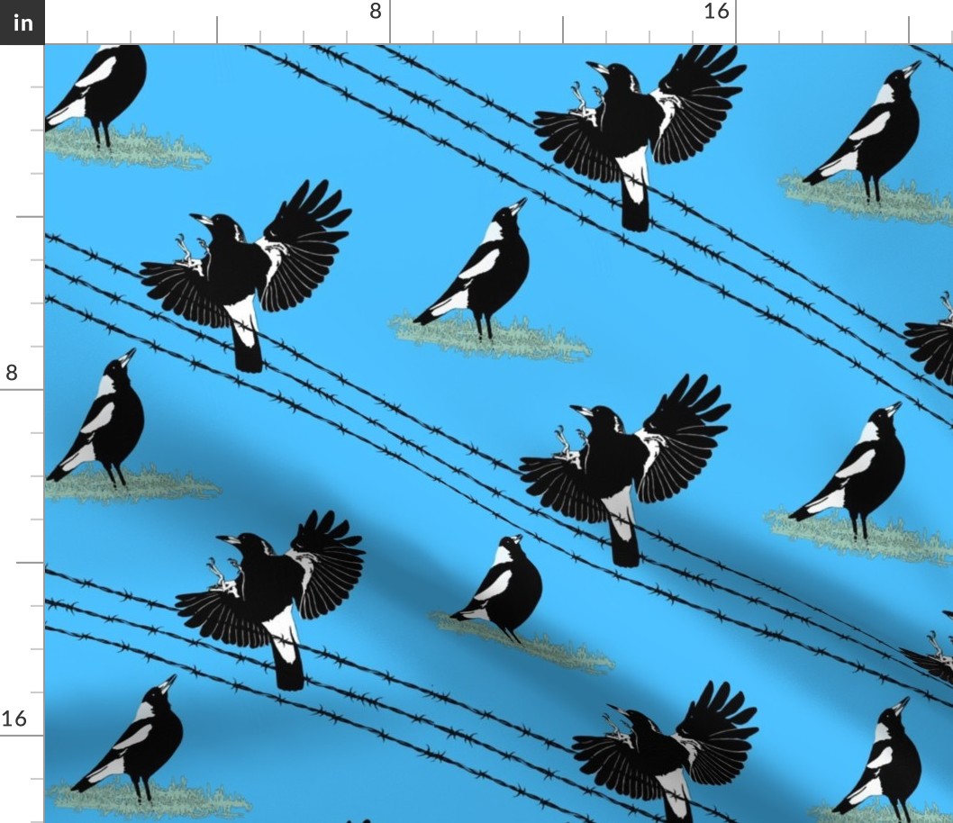 Magpies: learn to fly + food call (limited palette) by Su_G_©SuSchaefer