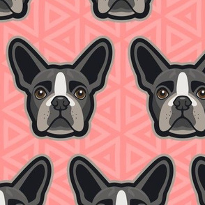 Boston Terrier Coral Pink Large