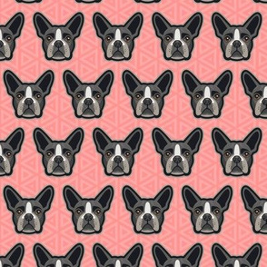 Boston Terrier Coral Pink Small