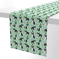 boston terrier ice cream dog breed fabric summer dessert food mint