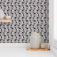 boston terrier ice cream dog breed fabric summer dessert food grey