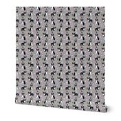 boston terrier ice cream dog breed fabric summer dessert food grey