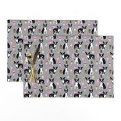 boston terrier ice cream dog breed fabric summer dessert food grey