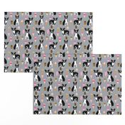 boston terrier ice cream dog breed fabric summer dessert food grey