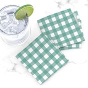 Gingham - Aqua Plain & Simple