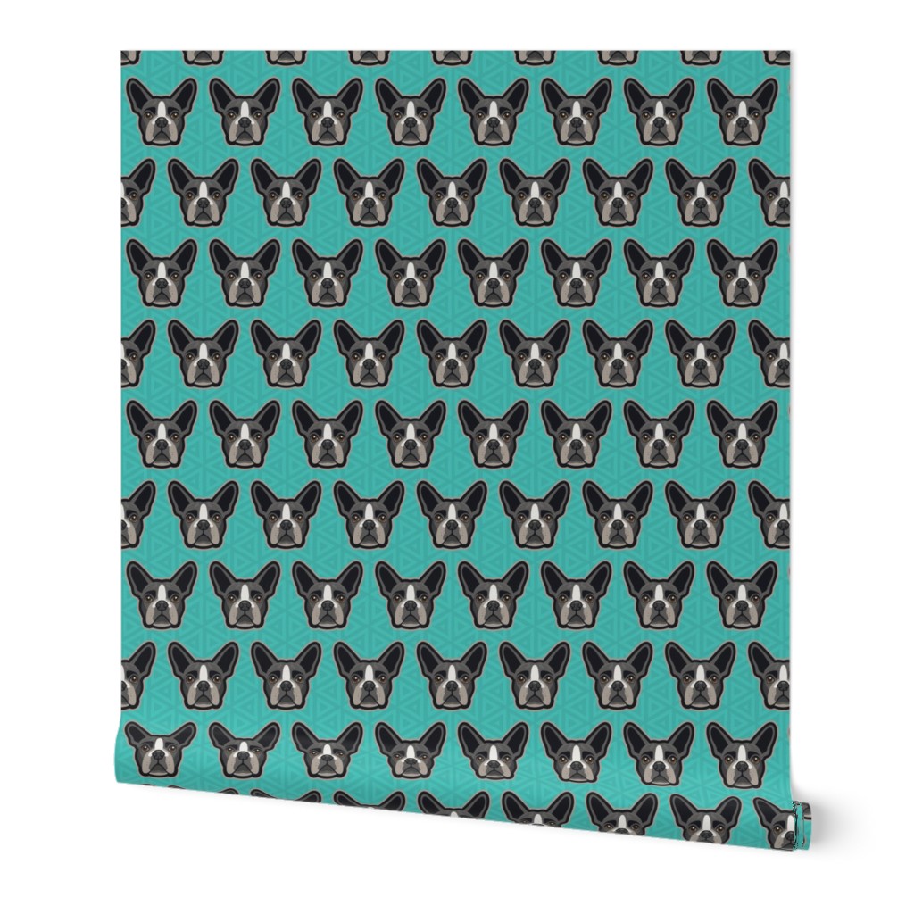 Boston Terrier Teal Large