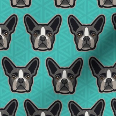 Boston Terrier Teal Medium