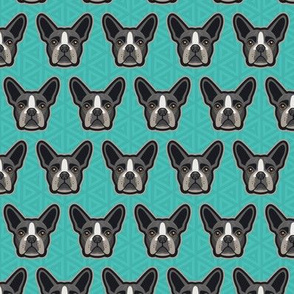 Boston Terrier Teal Small