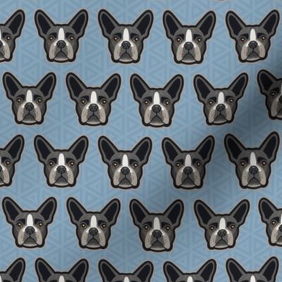 Boston Terrier Stone Blue Small