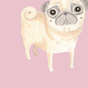 Pugs on Blush Pink Gouache