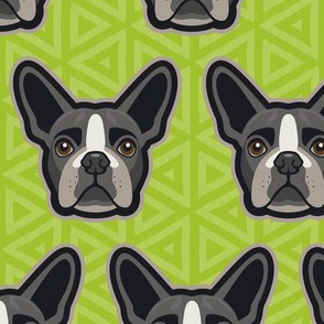 Boston Terrier Chartreuse Green Large