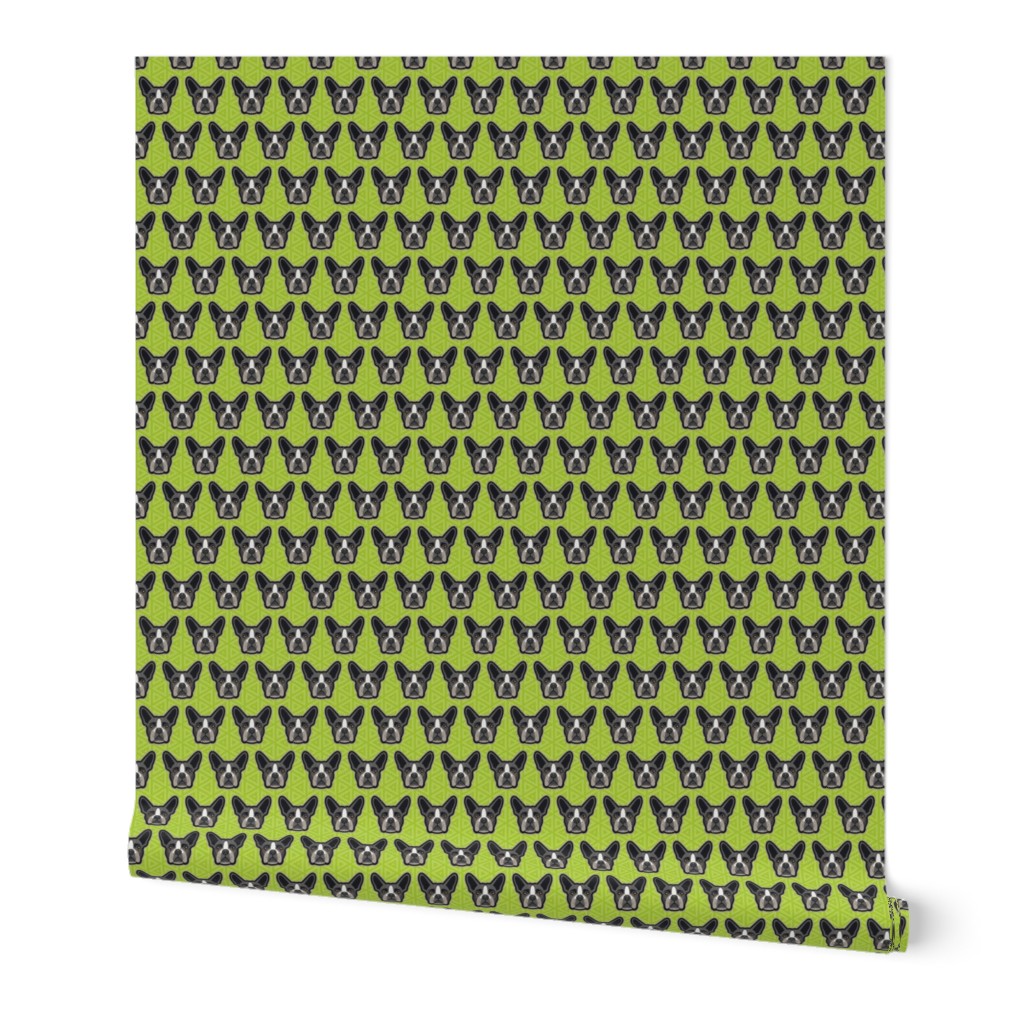 Boston Terrier Chartreuse Green Small