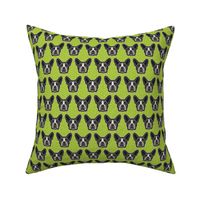 Boston Terrier Chartreuse Green Small