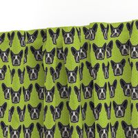 Boston Terrier Chartreuse Green Small