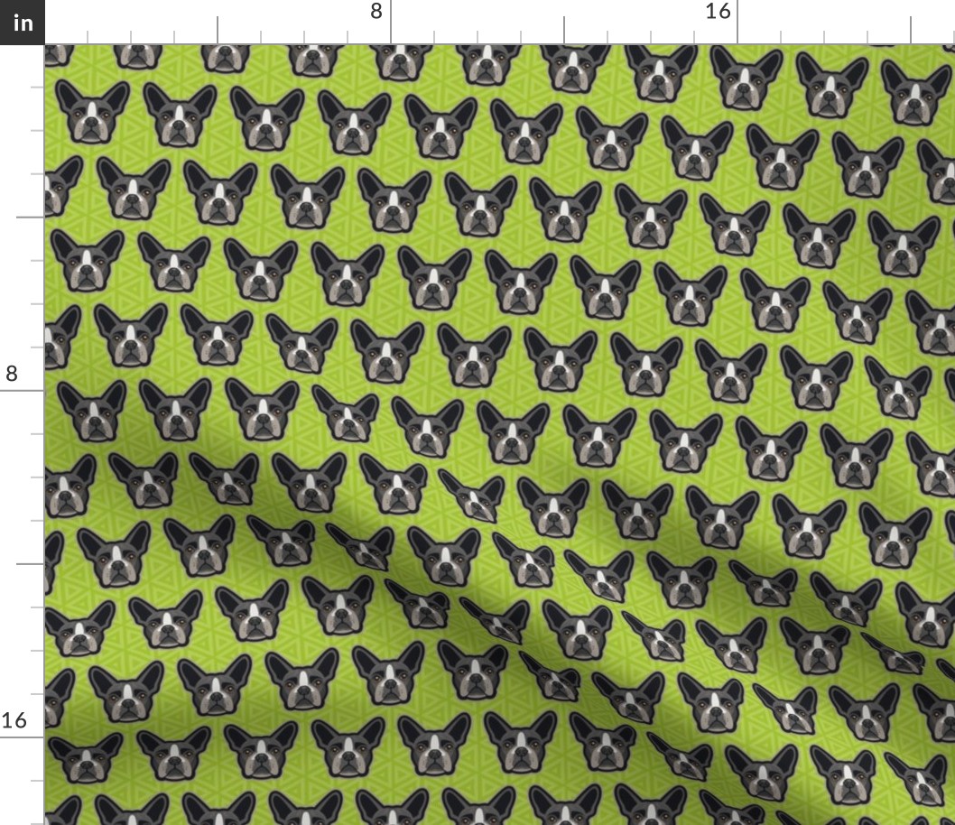 Boston Terrier Chartreuse Green Small