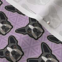 Boston Terrier Lilac Small