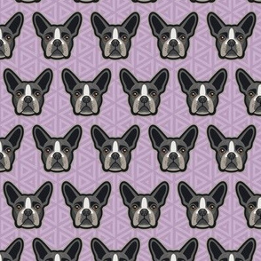 Boston Terrier Lilac Small