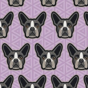 Boston Terrier Lilac Medium