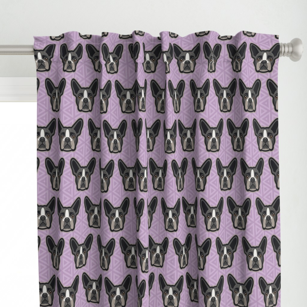 Boston Terrier Lilac Large