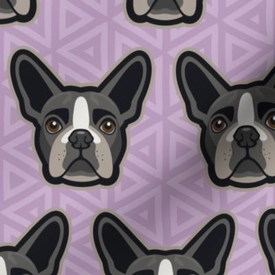 Boston Terrier Lilac Large
