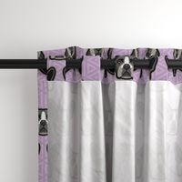 Boston Terrier Lilac Large