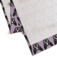 Boston Terrier Lilac Large