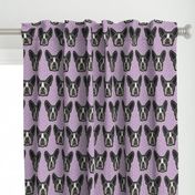 Boston Terrier Lilac Large