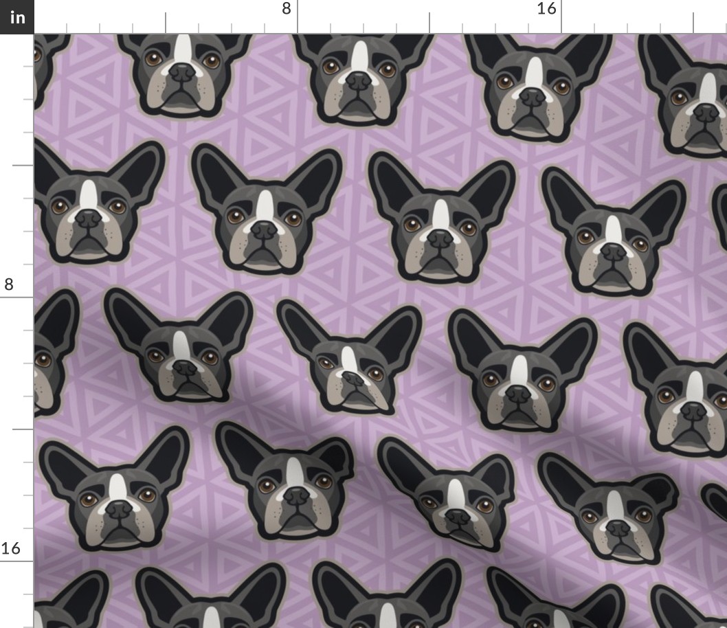 Boston Terrier Lilac Large
