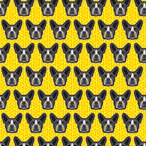 Boston Terrier Yellow - Medium
